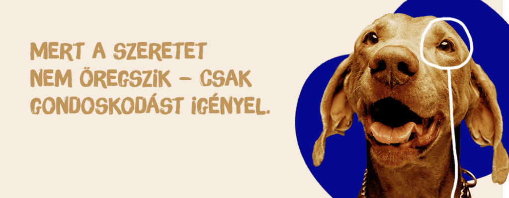 DrPetPaw kutya és macska vitaminok - senior