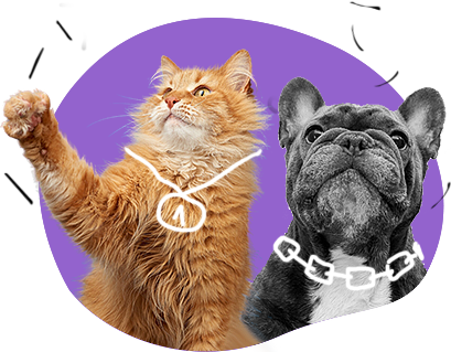 DrPetPaw kutya és macska vitaminok