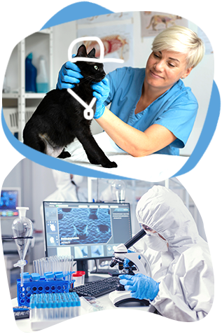 DrPetPaw kutya és macska vitaminok