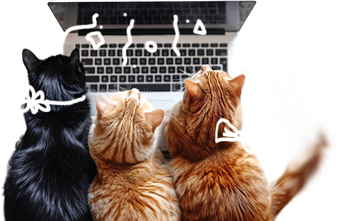 DrPetPaw kutya és macska vitaminok