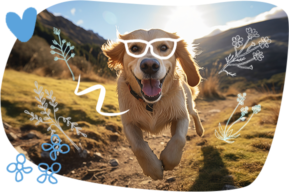 DrPetPaw kutya és macska vitaminok